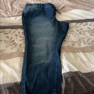 Lane Bryant skinny jeans 18P